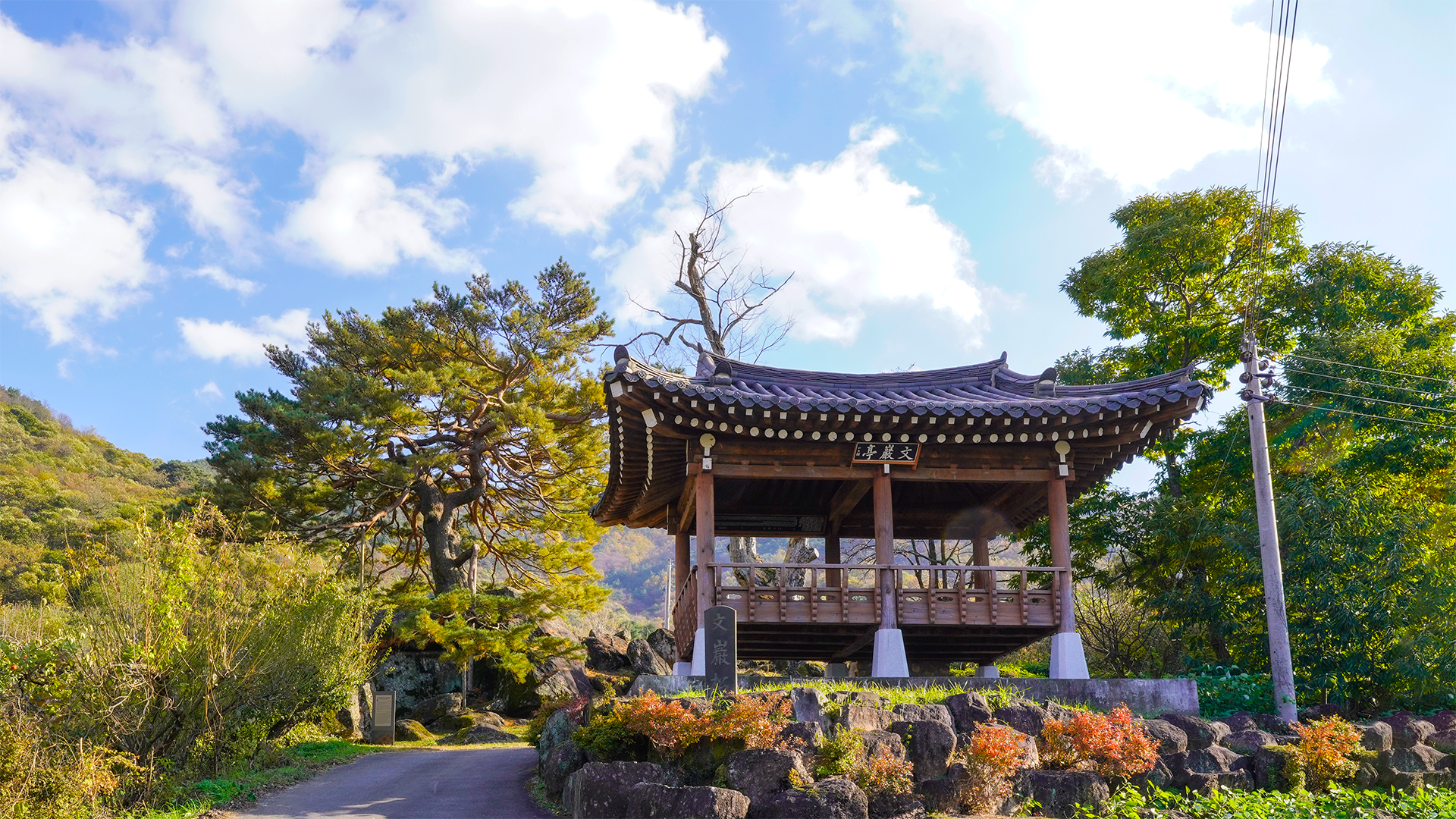 하동 축지리 문암송
